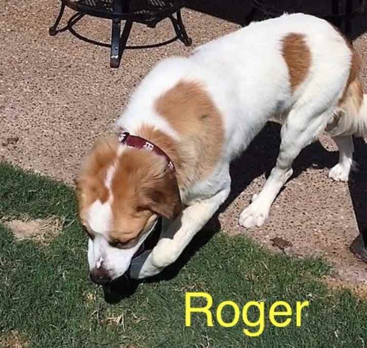 Photo of Roger