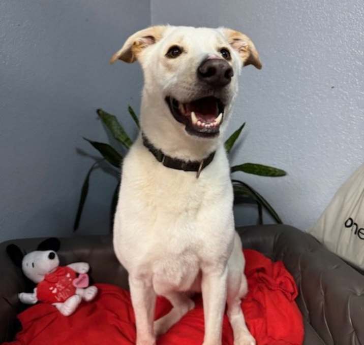 Photo of Ace Smiley
