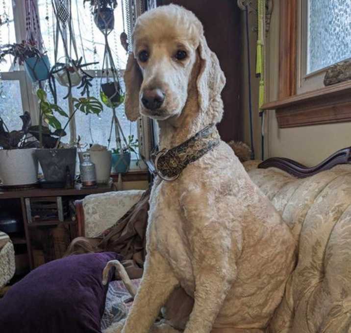 Photo of Ent