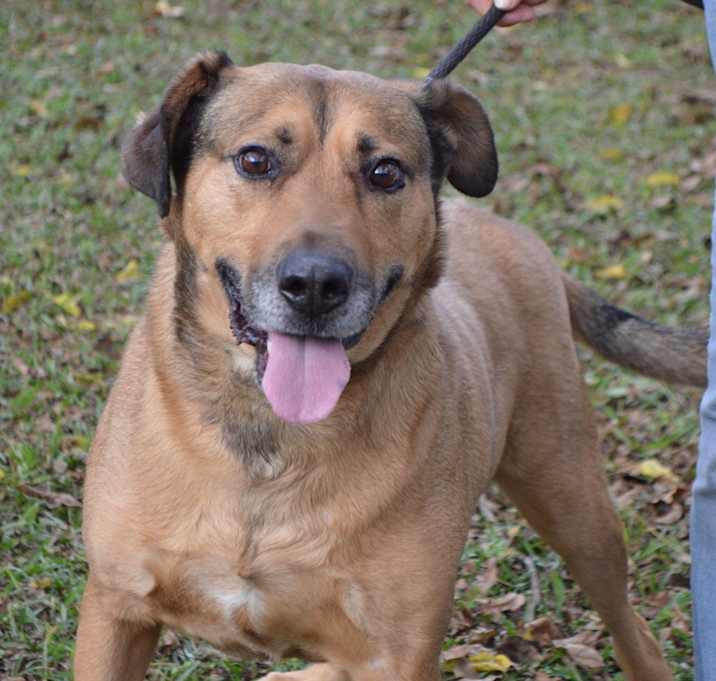Photo of Cooper