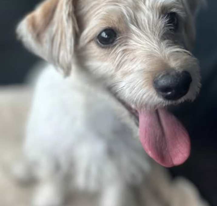 Photo of Zee Zee
