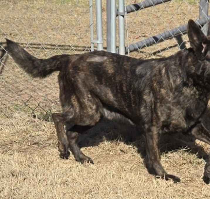 Photo of Zeus