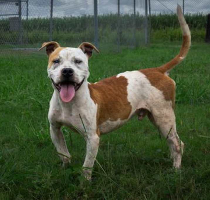 Photo of Kyle - Kind Boy!