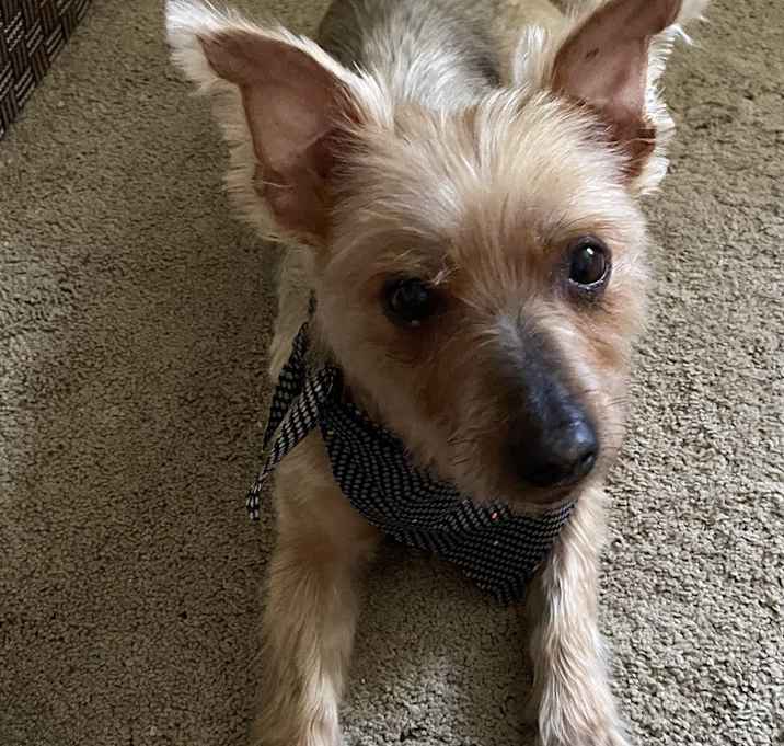 Photo of Coco