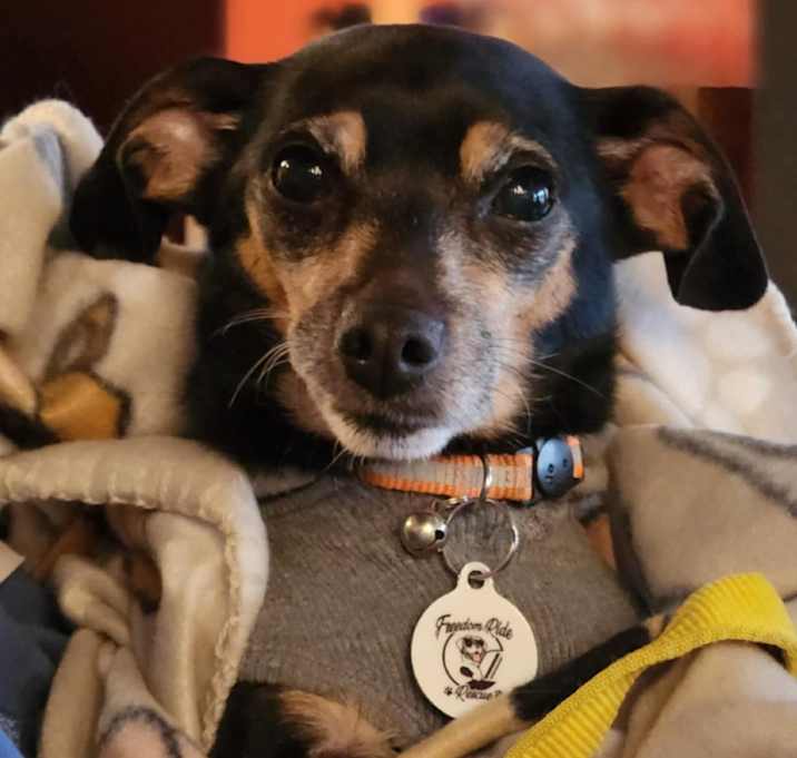 Photo of Peggy