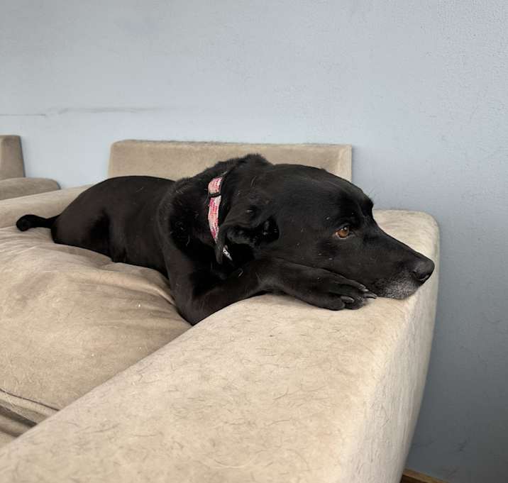 Photo of Athena