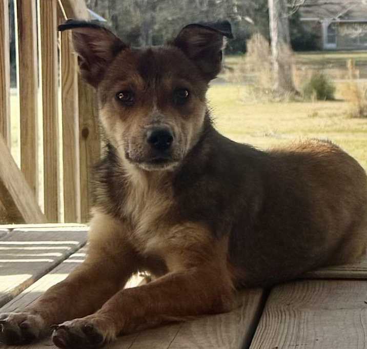 Photo of Louie