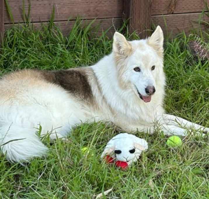 Photo of Bill
