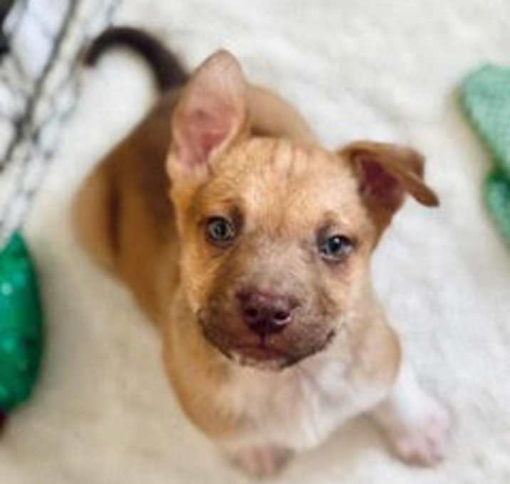 Photo of Spike