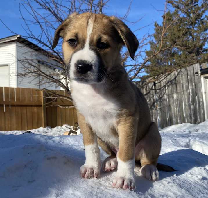 Photo of Cypress