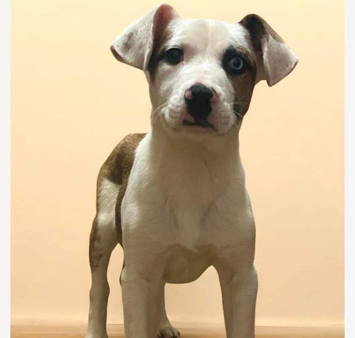 Photo of Bonnie