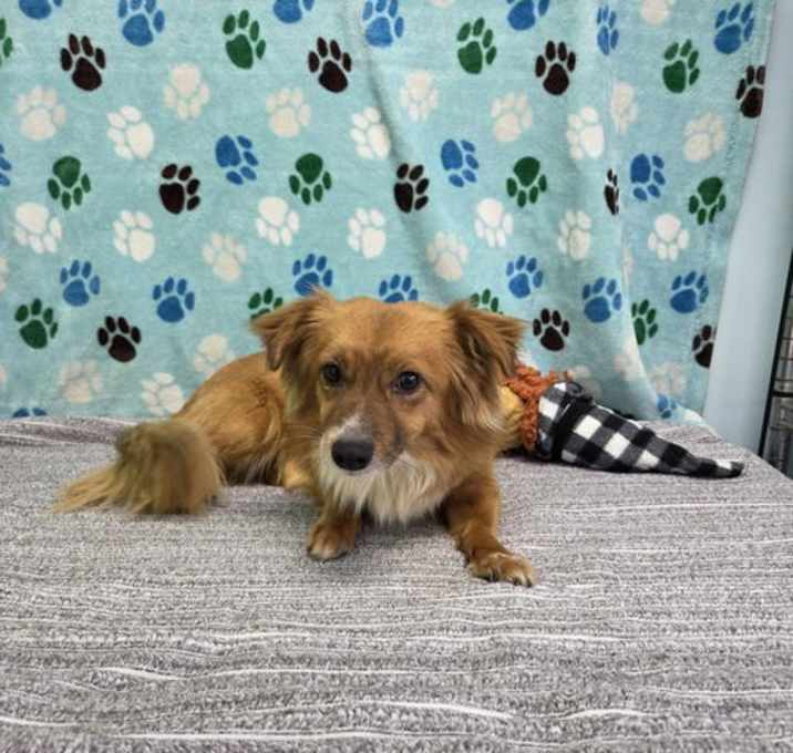 Photo of Chance