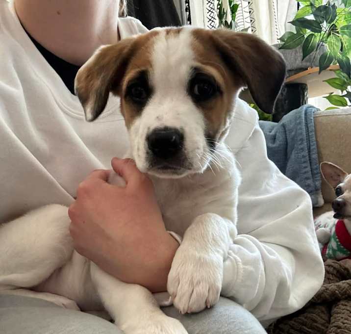 Photo of Ember