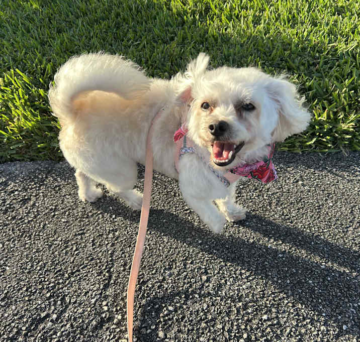 Photo of LUNA