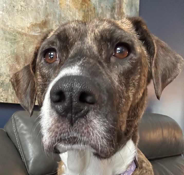 Photo of Aspen