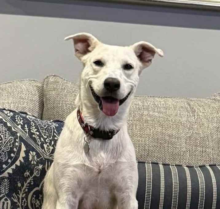 Photo of Willow