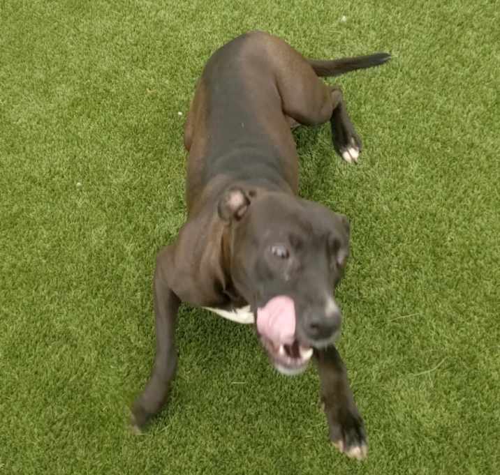 Photo of Maggie Kate