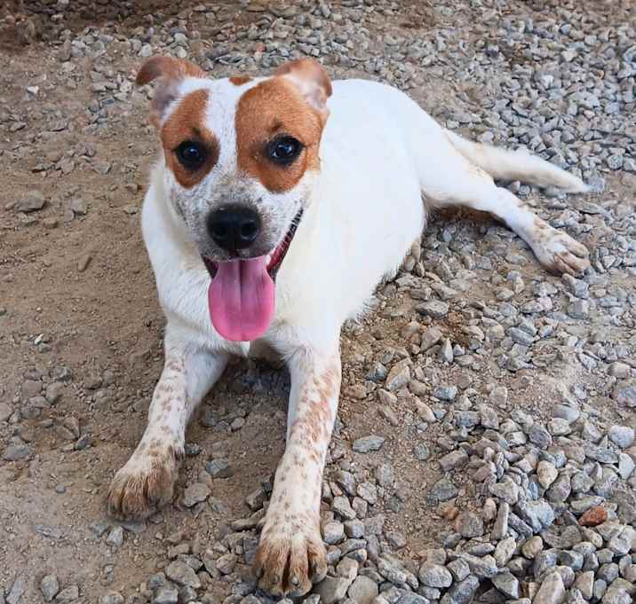 Photo of Lilly