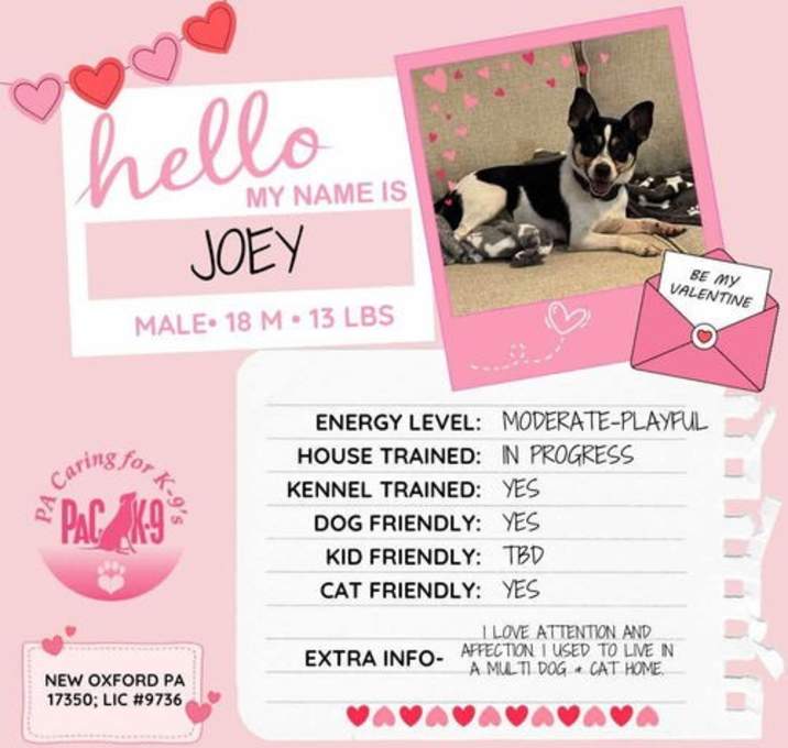Photo of Joey