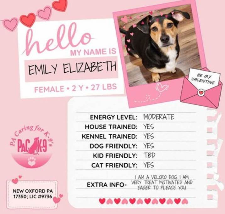 Photo of Emily Elizabeth