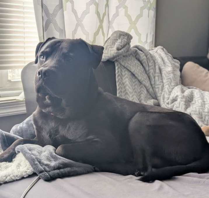 Photo of Remington