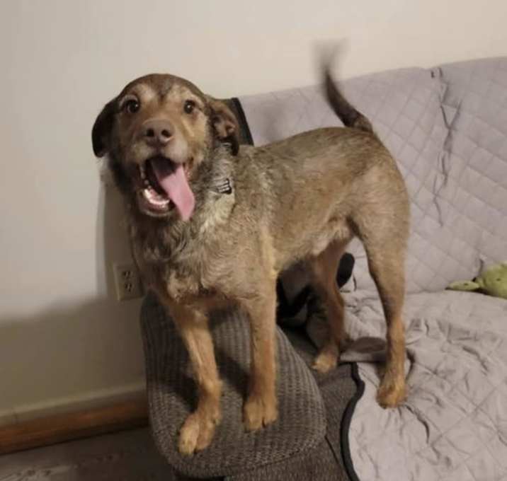 Photo of Max