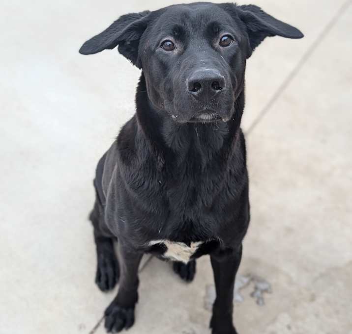 Photo of Hurricane