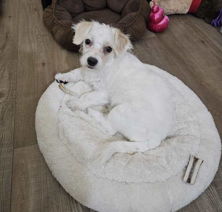 Photo of Polar