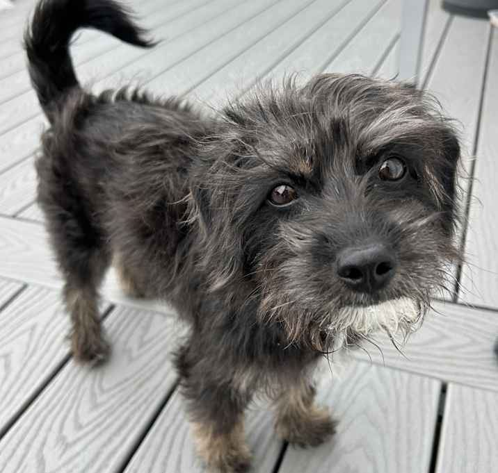 Photo of Coco