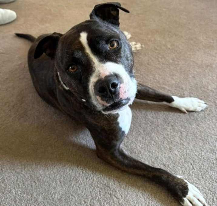 Photo of MISS WILLOW