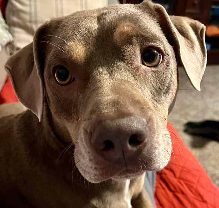 Photo of Arlo