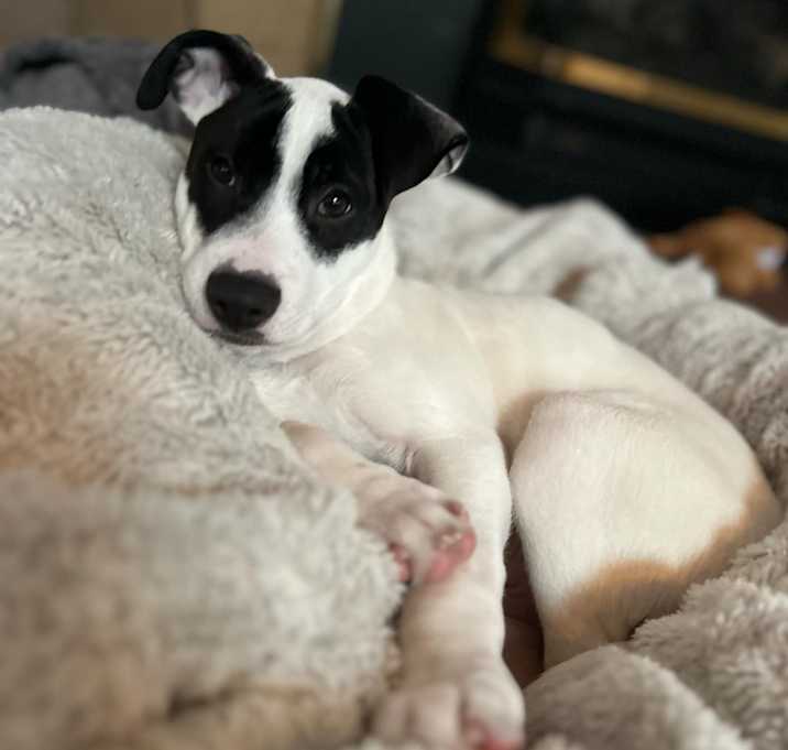 Photo of Dale