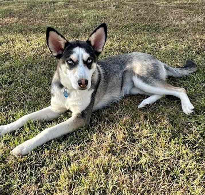 Photo of Lilly