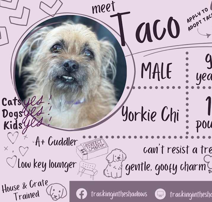 Photo of Taco