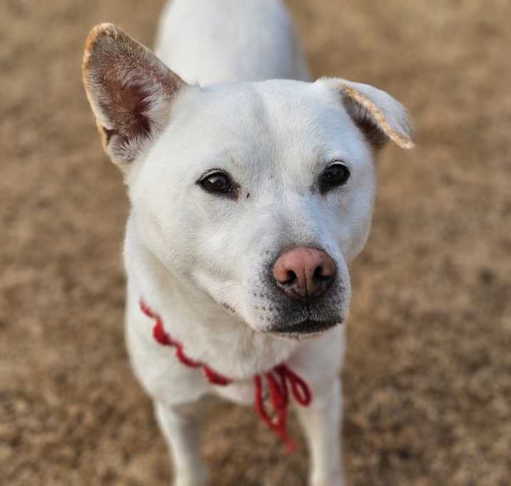 Photo of Chloe