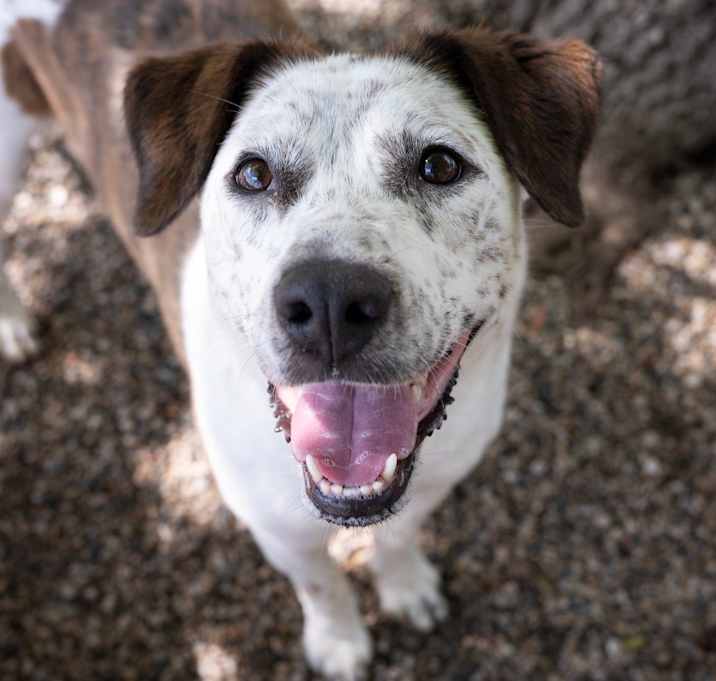 Photo of Chase