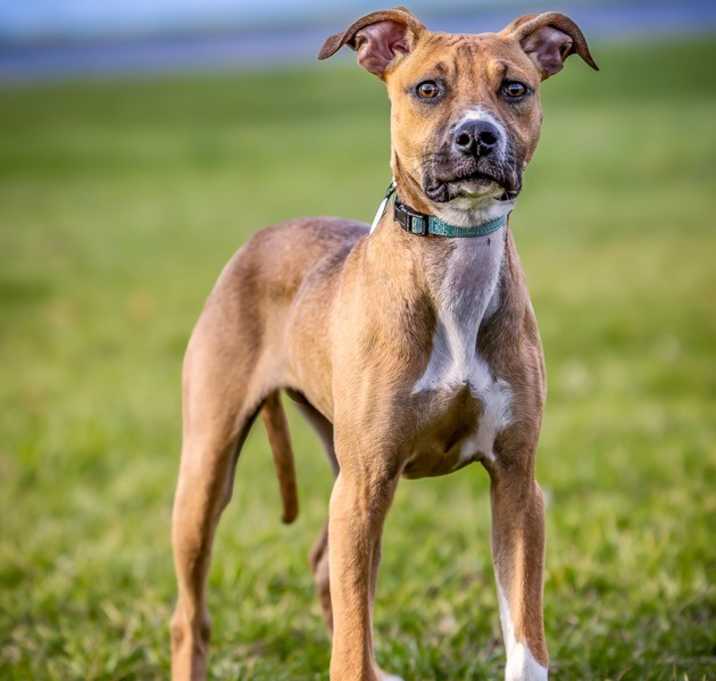 Photo of Winny