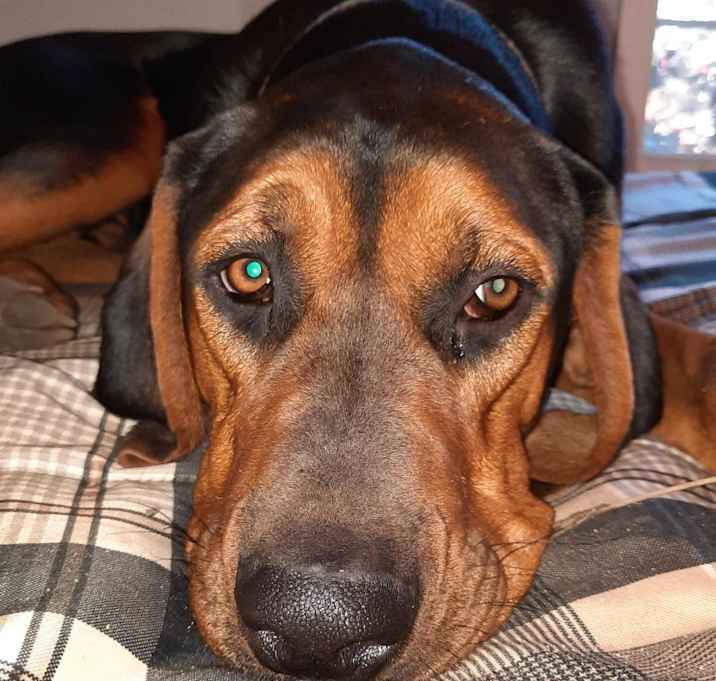 Photo of Finn