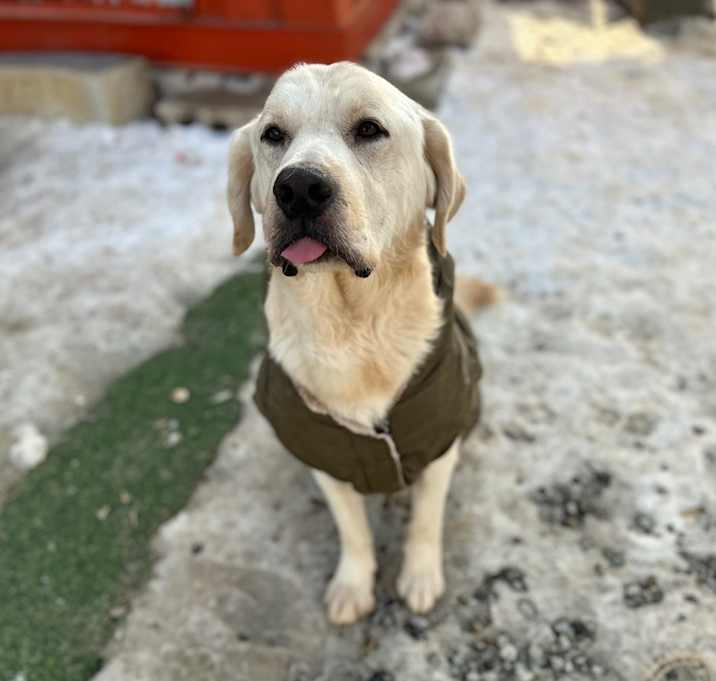 Photo of Gatsby