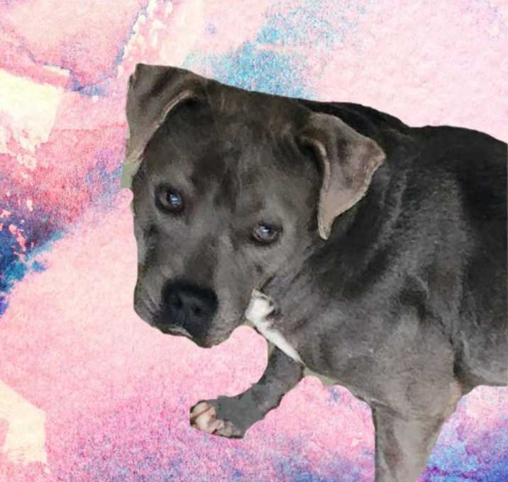 Photo of Sophia