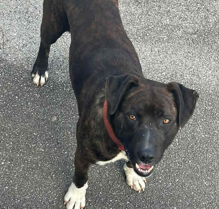 Photo of Astro