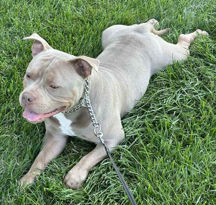 Photo of Paco