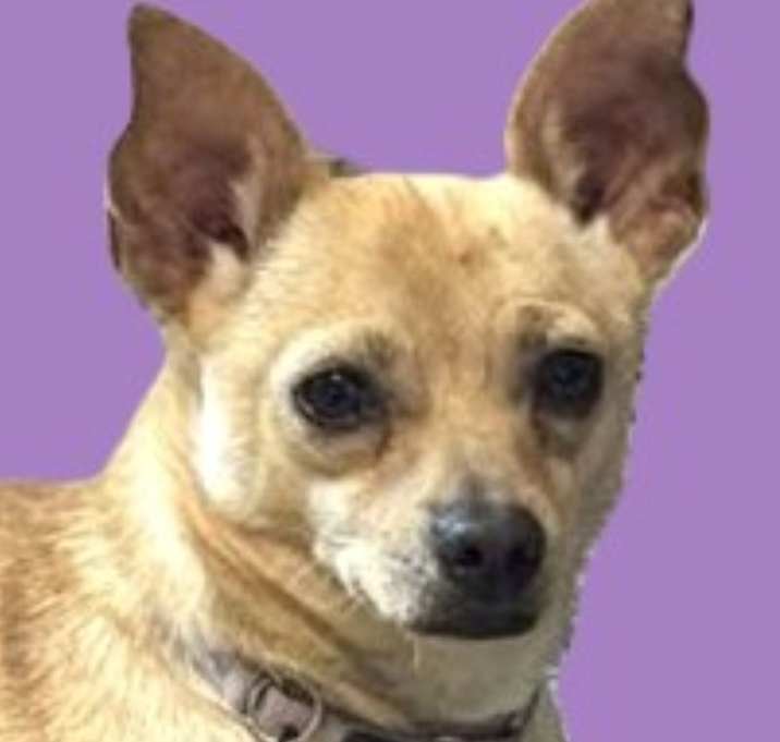 Photo of Ori
