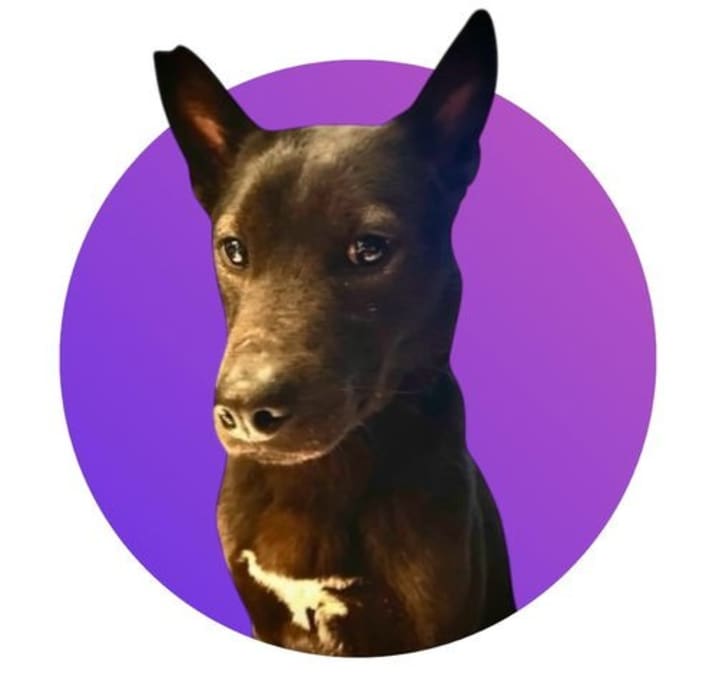Photo of Tesla