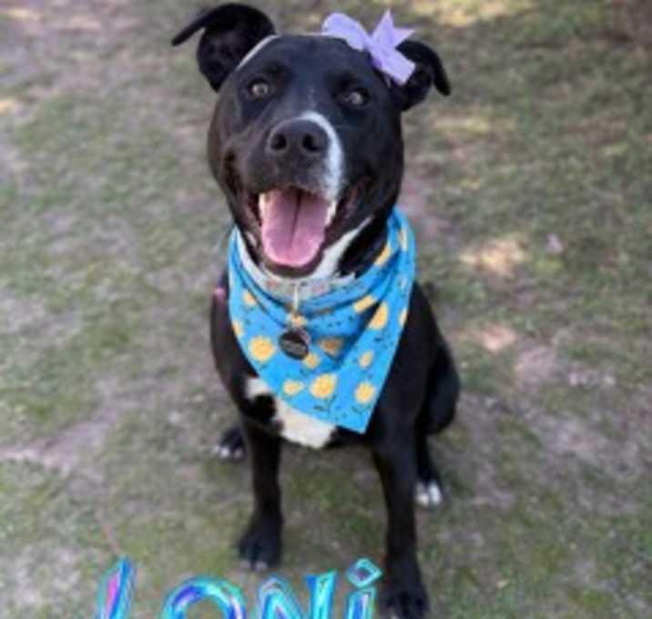 Photo of Loni 31310