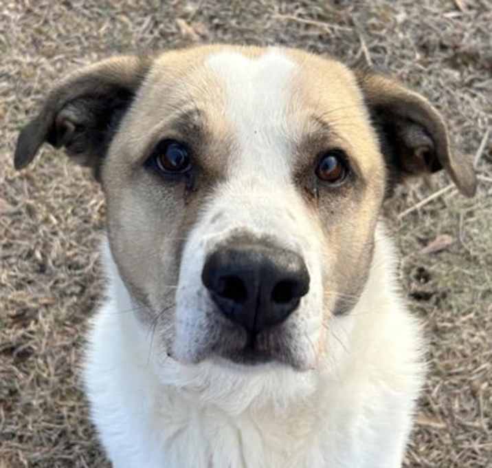 Photo of Max