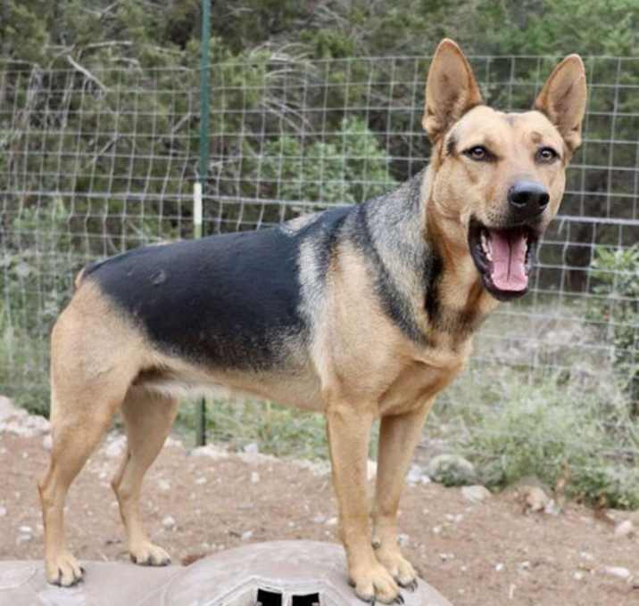 Photo of Delilah