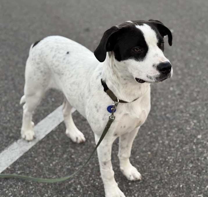 Photo of Dottie