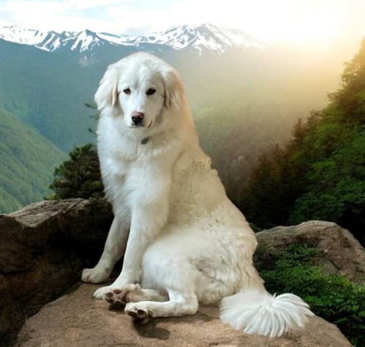 Photo of Savannah