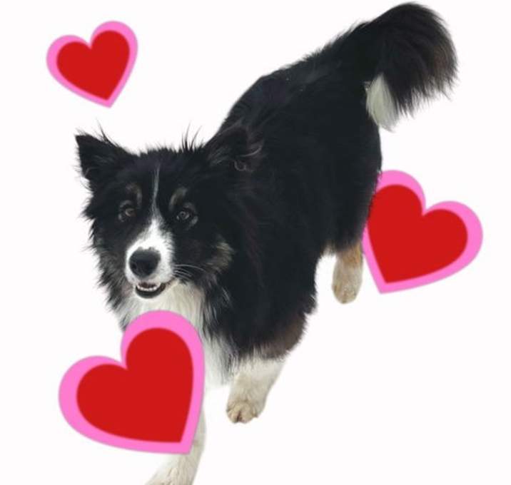 Photo of Happy